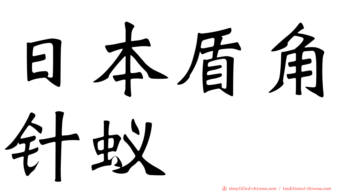 日本盾角针蚁