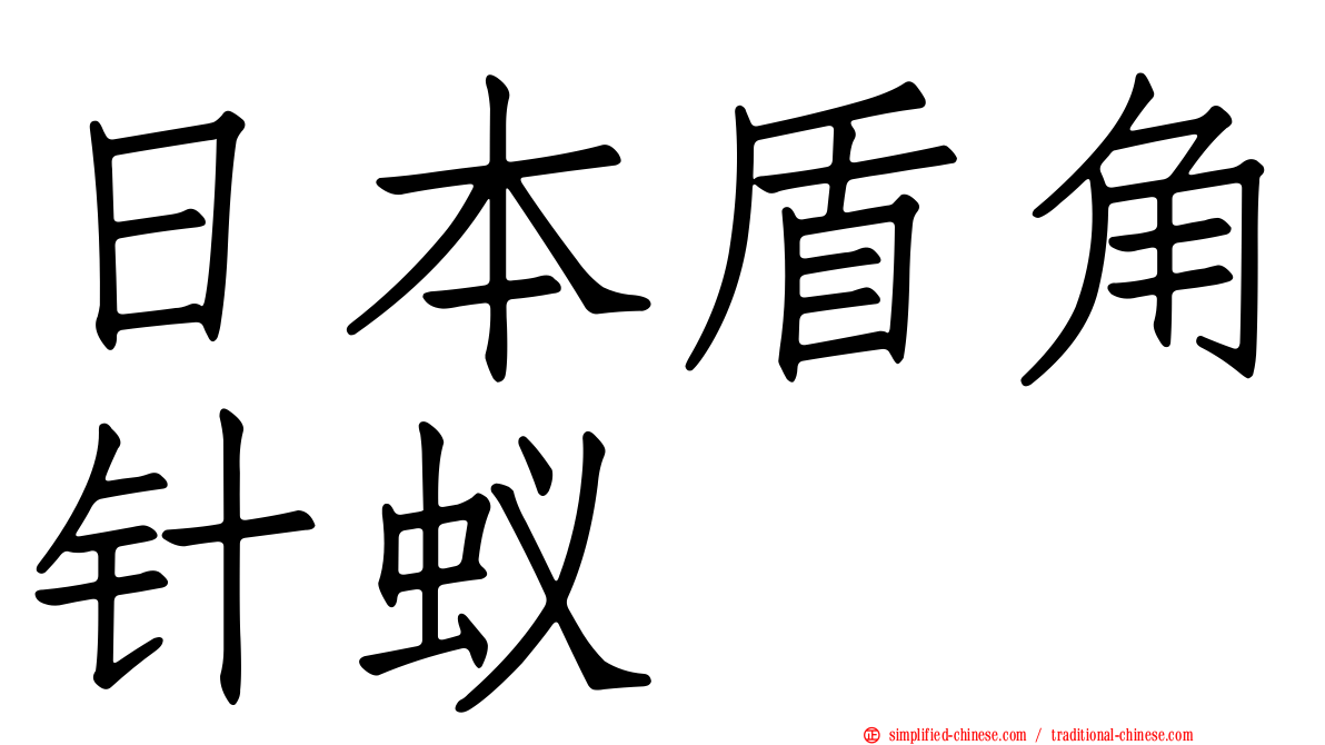 日本盾角针蚁