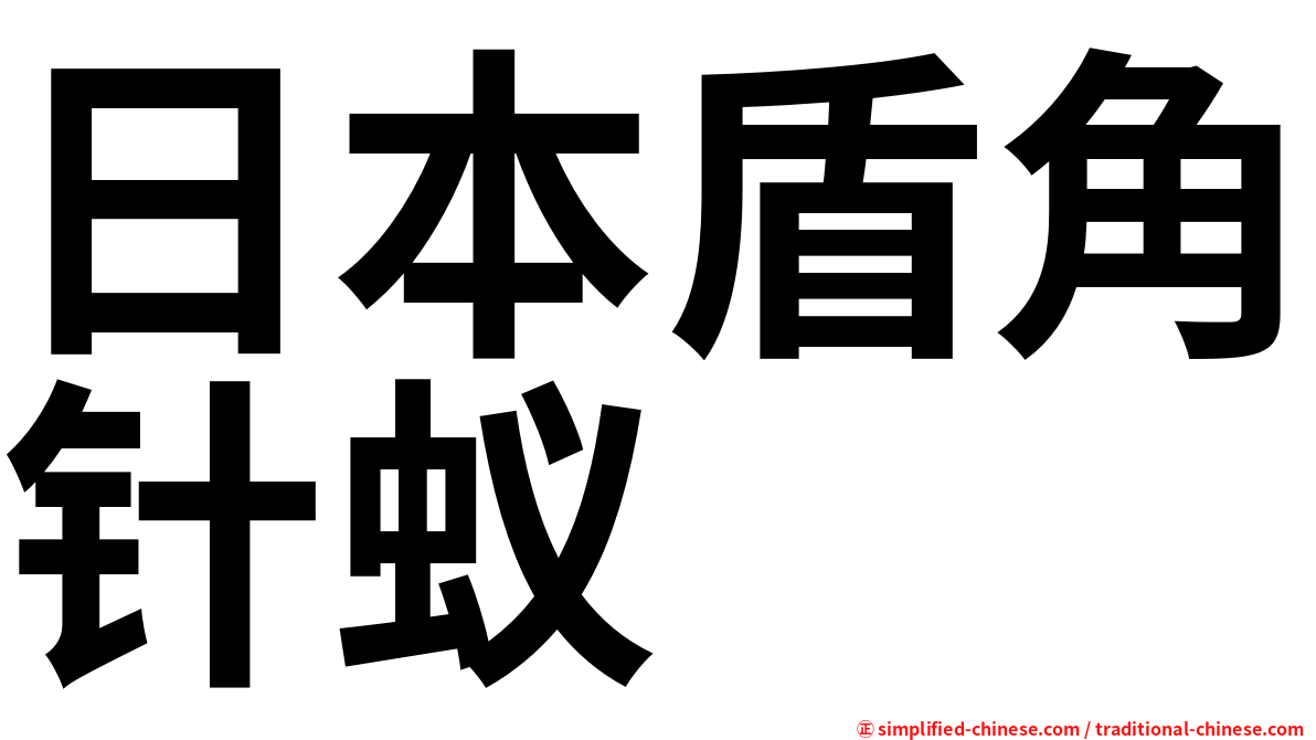 日本盾角针蚁