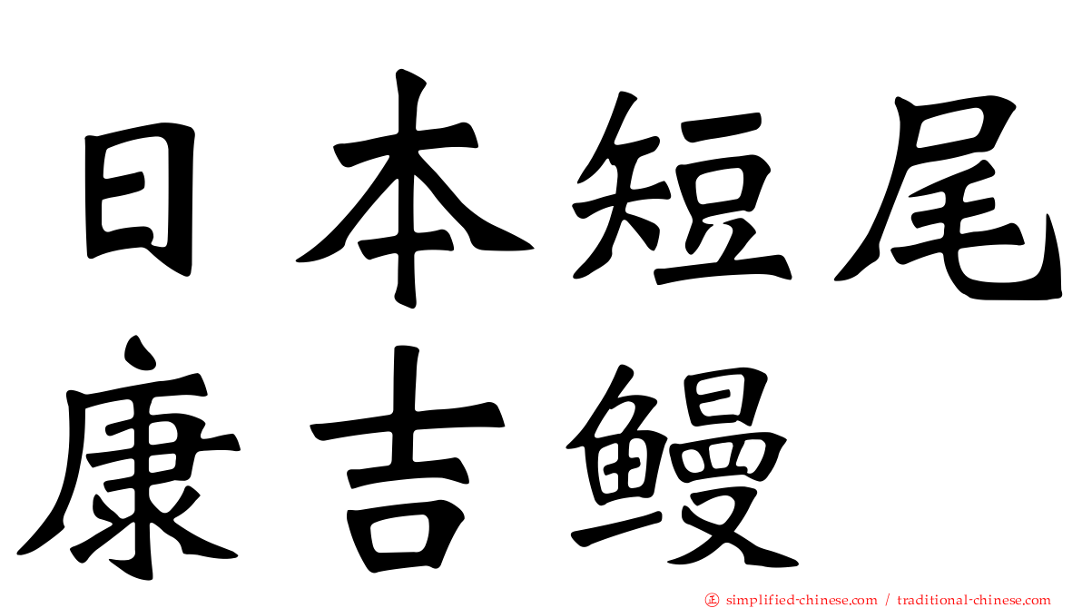 日本短尾康吉鳗