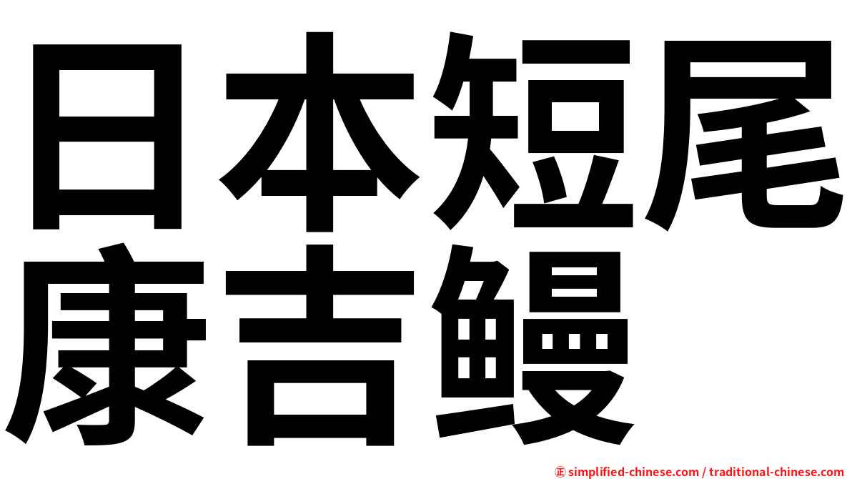日本短尾康吉鳗