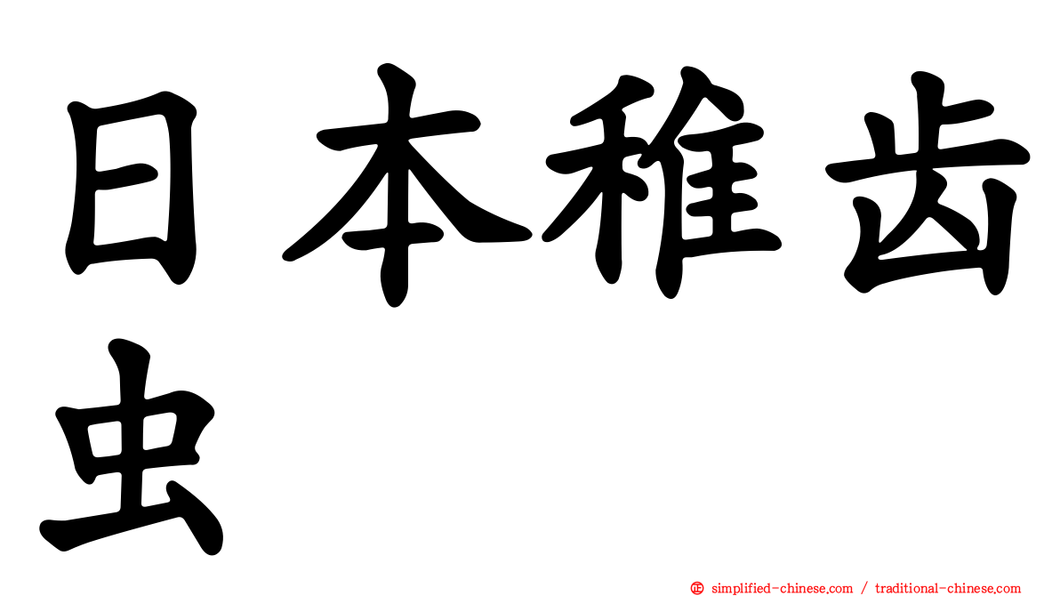 日本稚齿虫