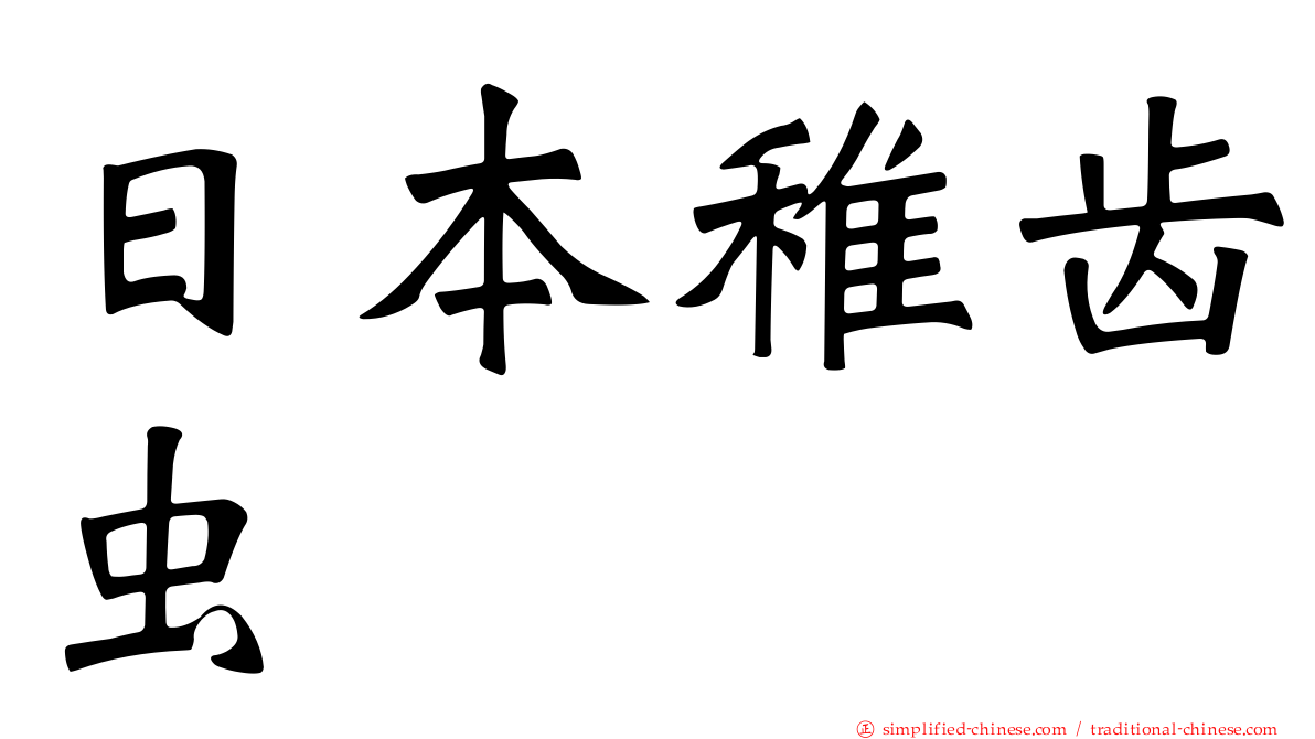 日本稚齿虫