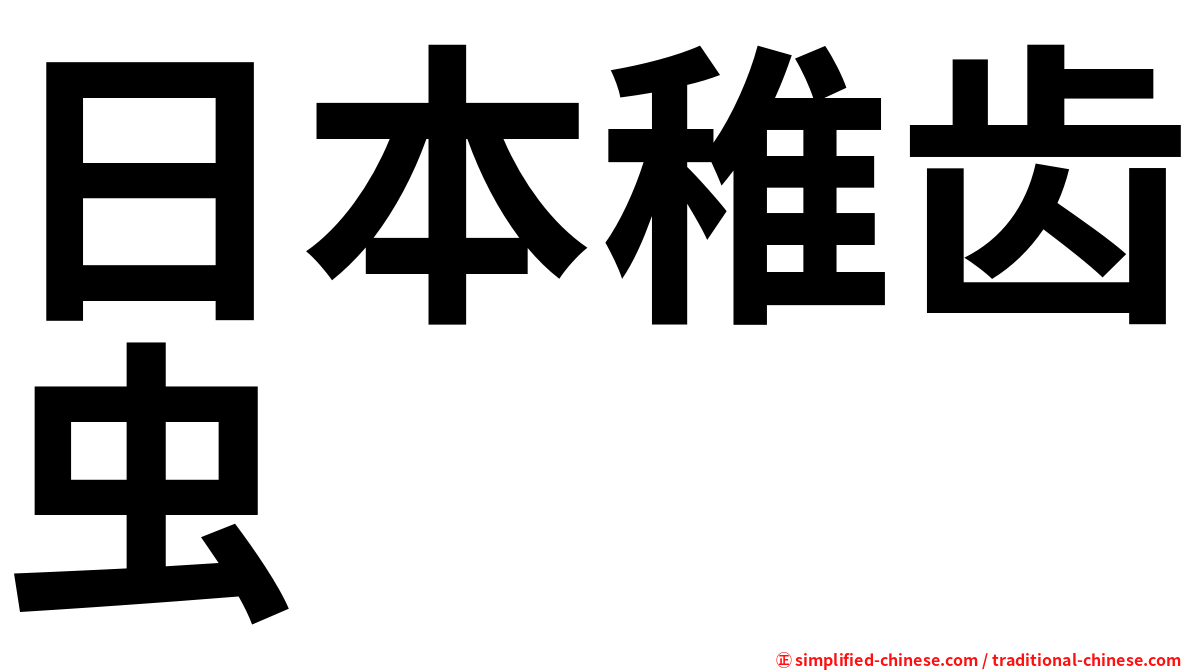 日本稚齿虫