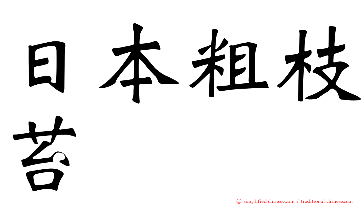 日本粗枝苔