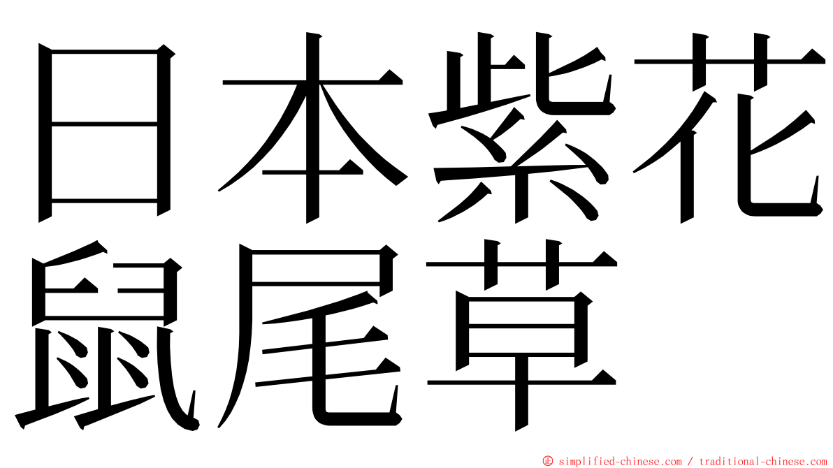 日本紫花鼠尾草 ming font