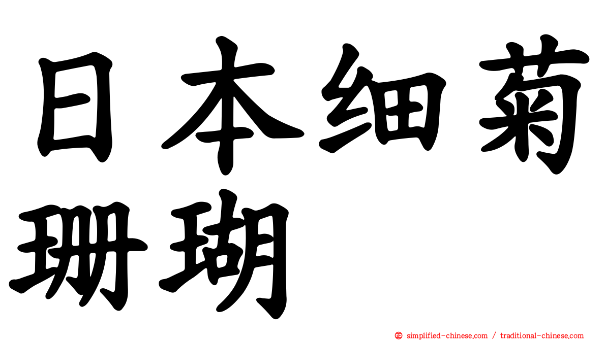 日本细菊珊瑚