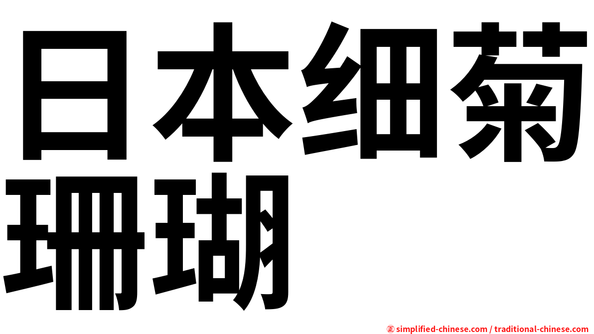 日本细菊珊瑚