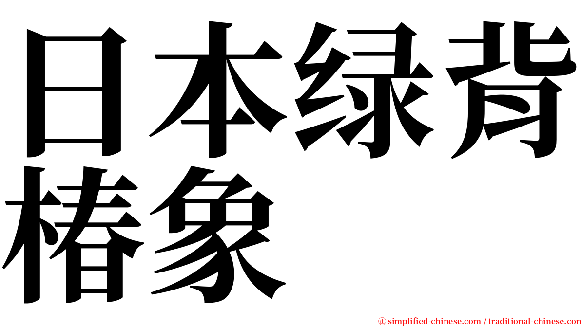 日本绿背椿象 serif font