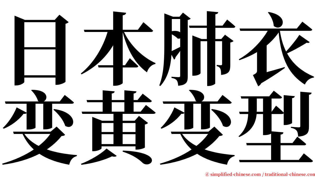 日本肺衣变黄变型 serif font