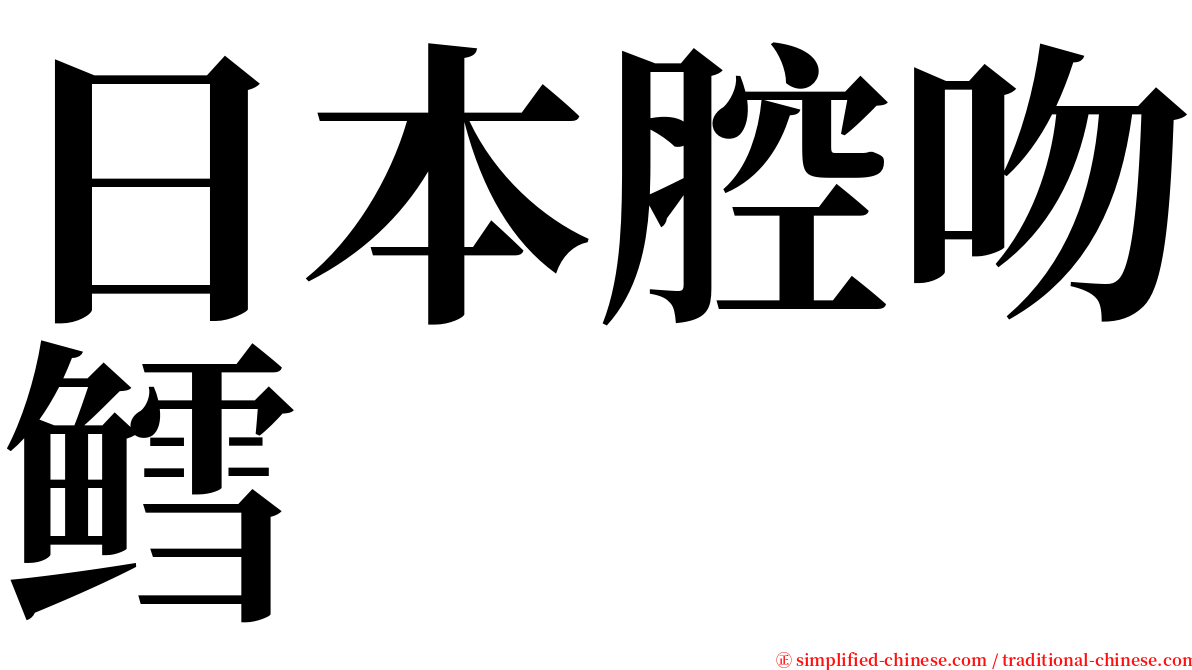 日本腔吻鳕 serif font