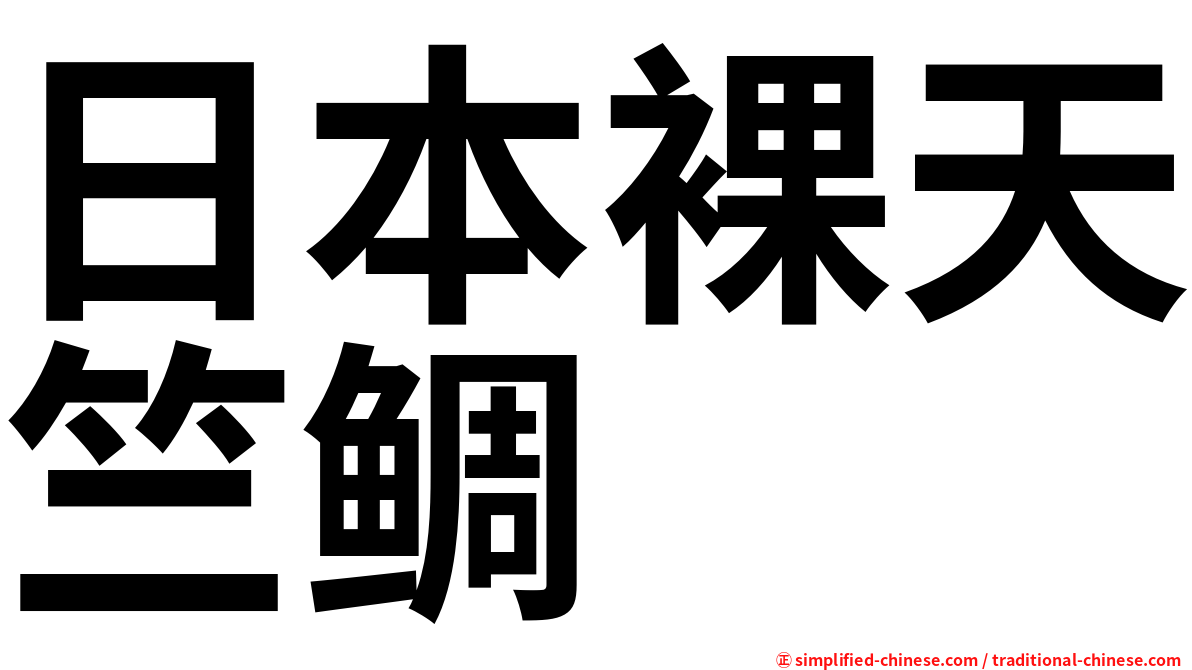 日本裸天竺鲷