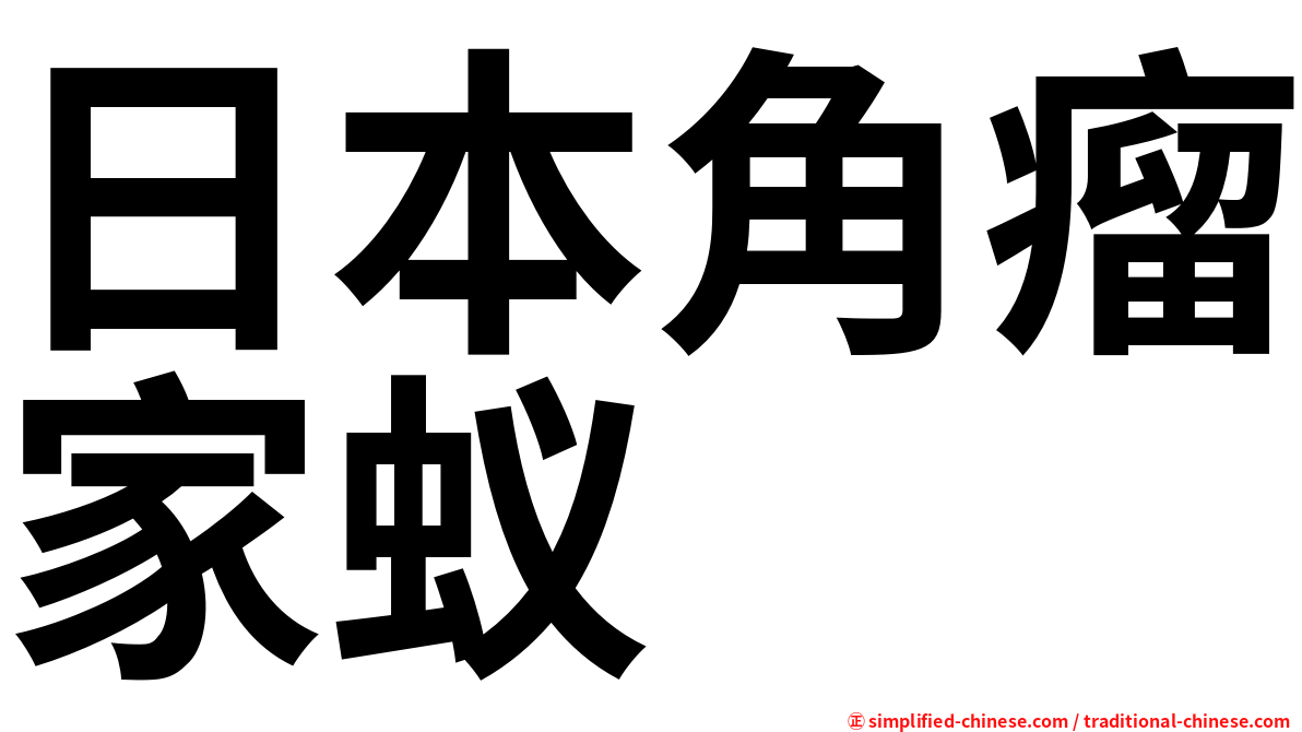 日本角瘤家蚁