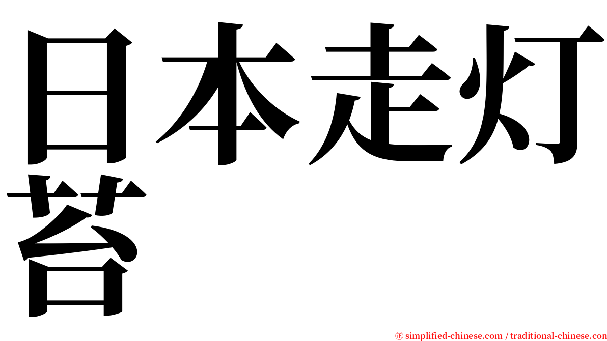 日本走灯苔 serif font
