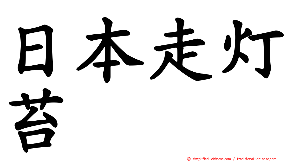 日本走灯苔