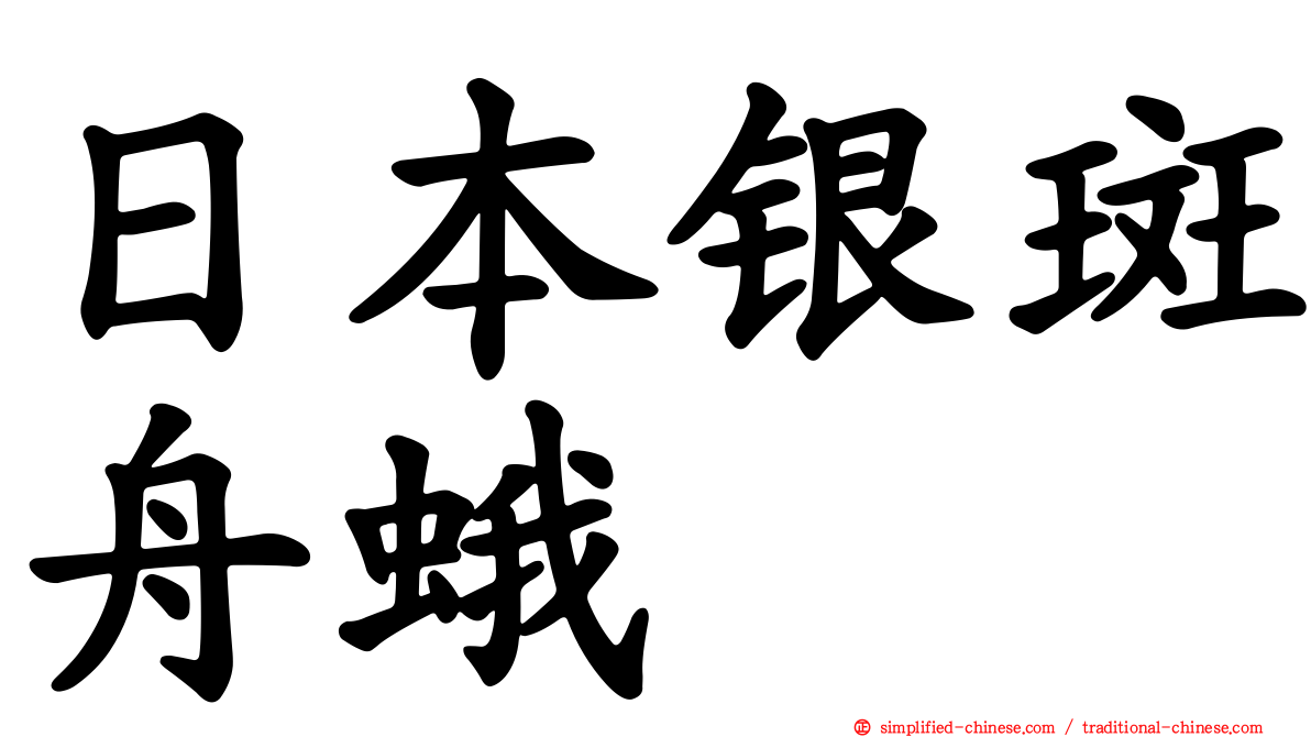 日本银斑舟蛾