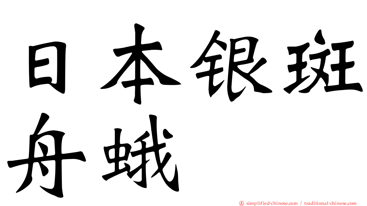 日本银斑舟蛾