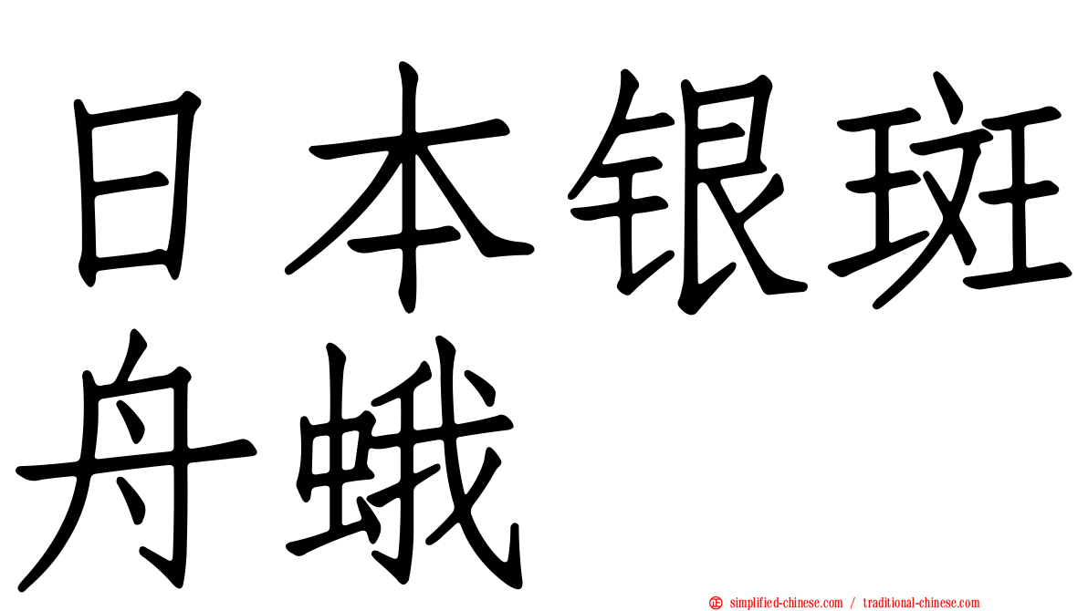 日本银斑舟蛾
