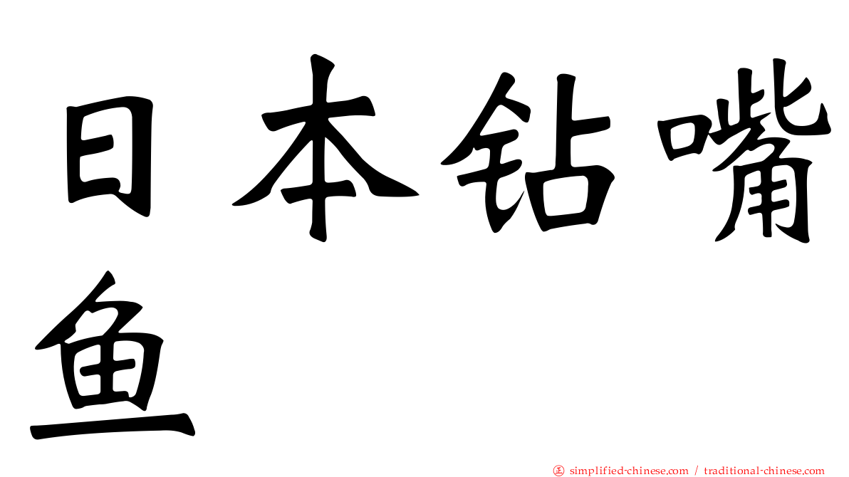日本钻嘴鱼