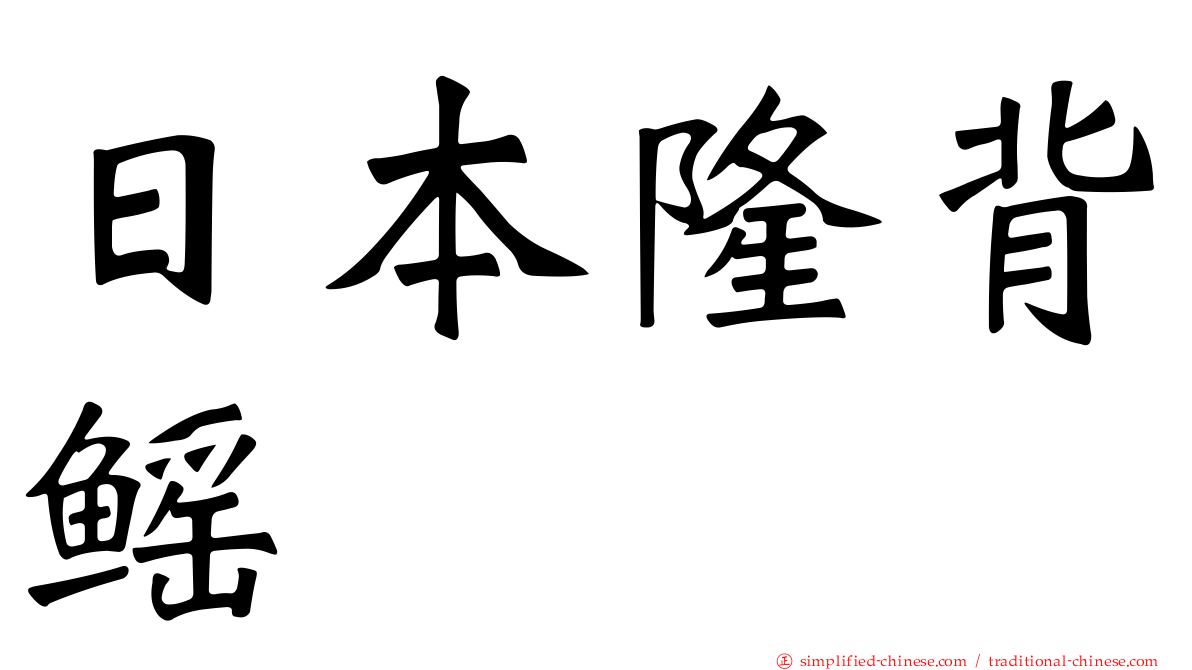 日本隆背鳐