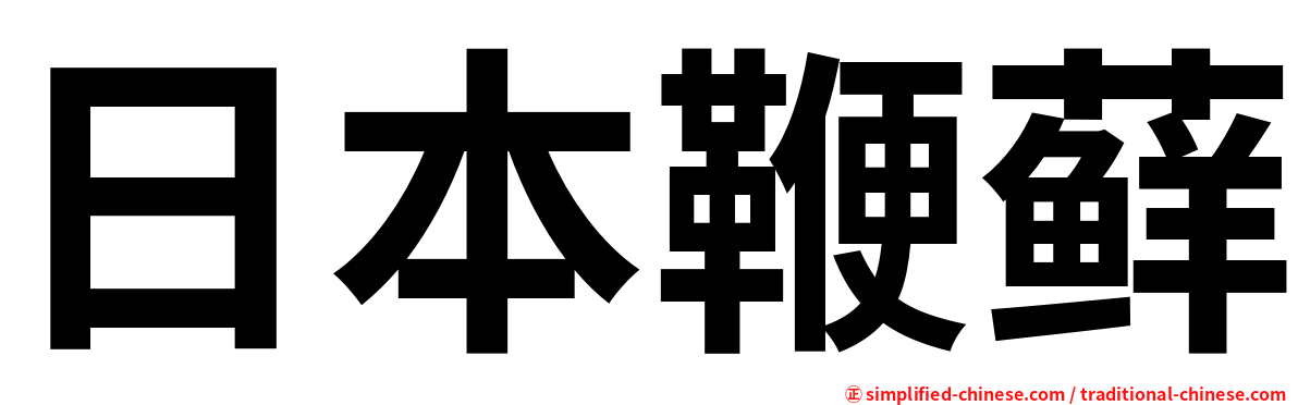 日本鞭藓
