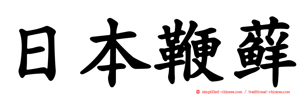 日本鞭藓