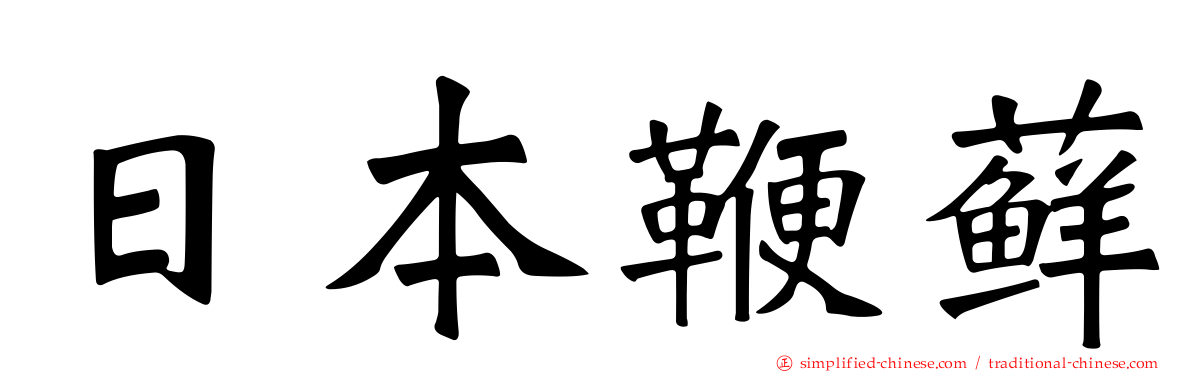 日本鞭藓