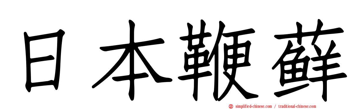 日本鞭藓