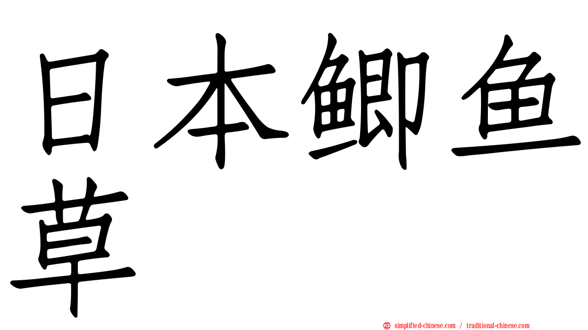 日本鲫鱼草