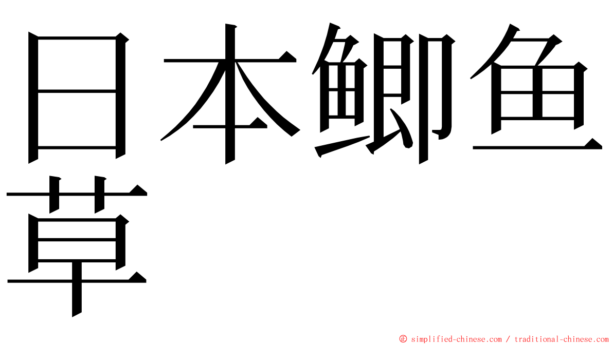 日本鲫鱼草 ming font