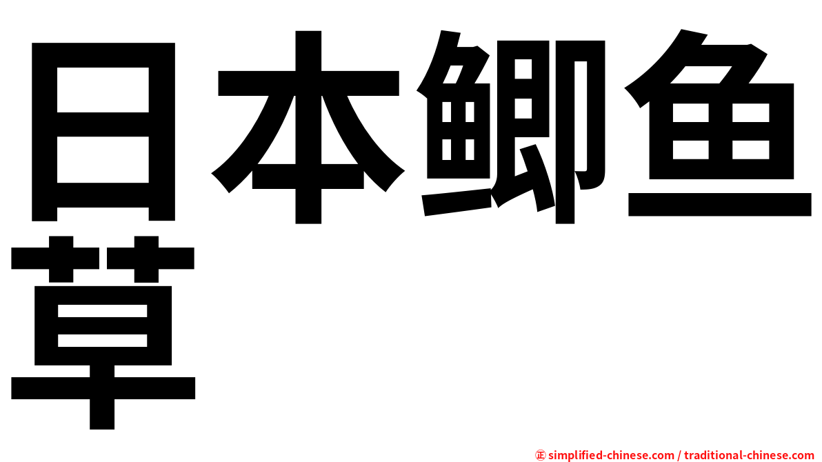 日本鲫鱼草