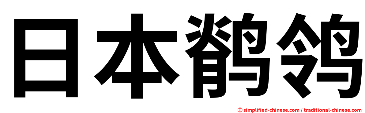 日本鹡鸰