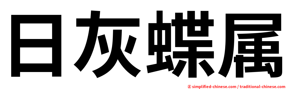 日灰蝶属