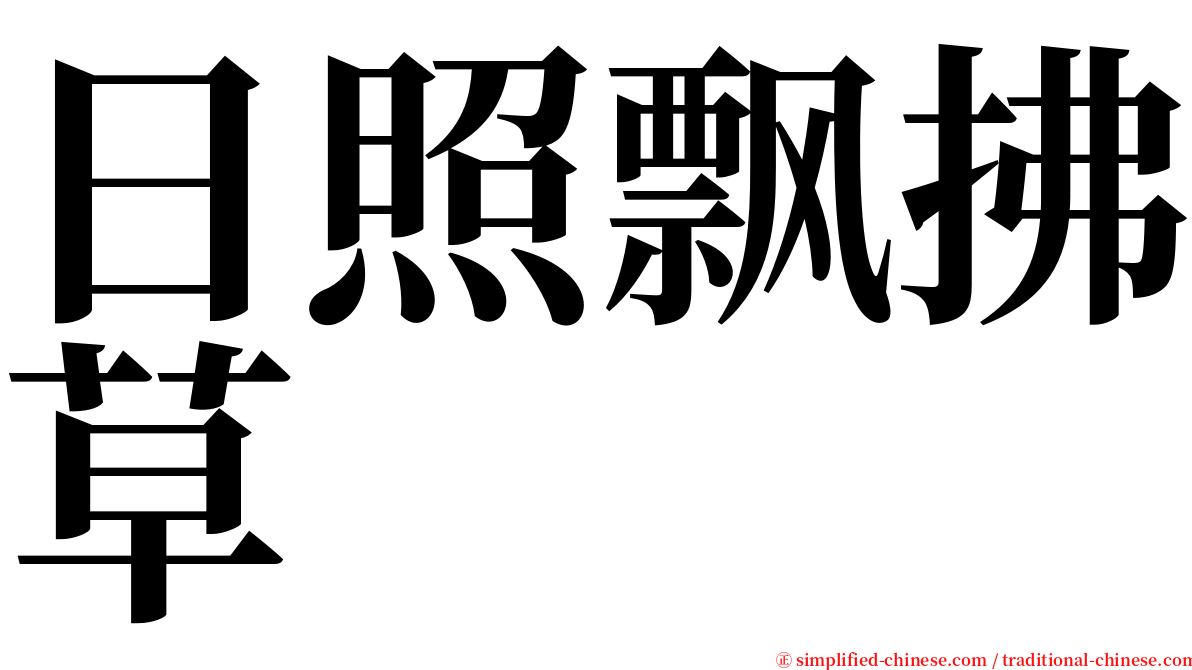 日照飘拂草 serif font