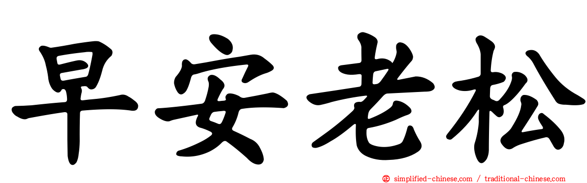 早安老松