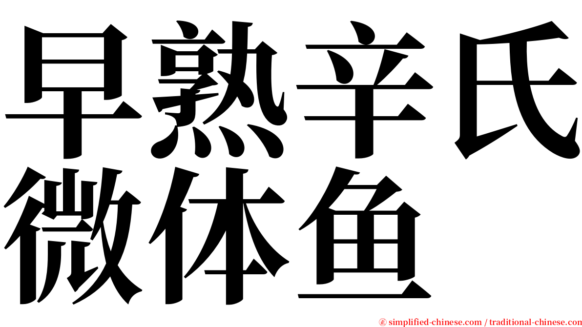 早熟辛氏微体鱼 serif font