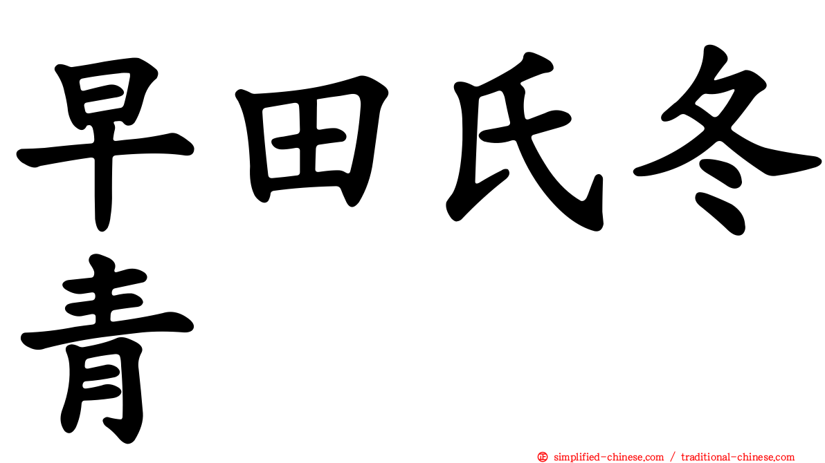 早田氏冬青