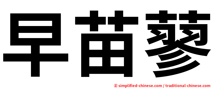 早苗蓼