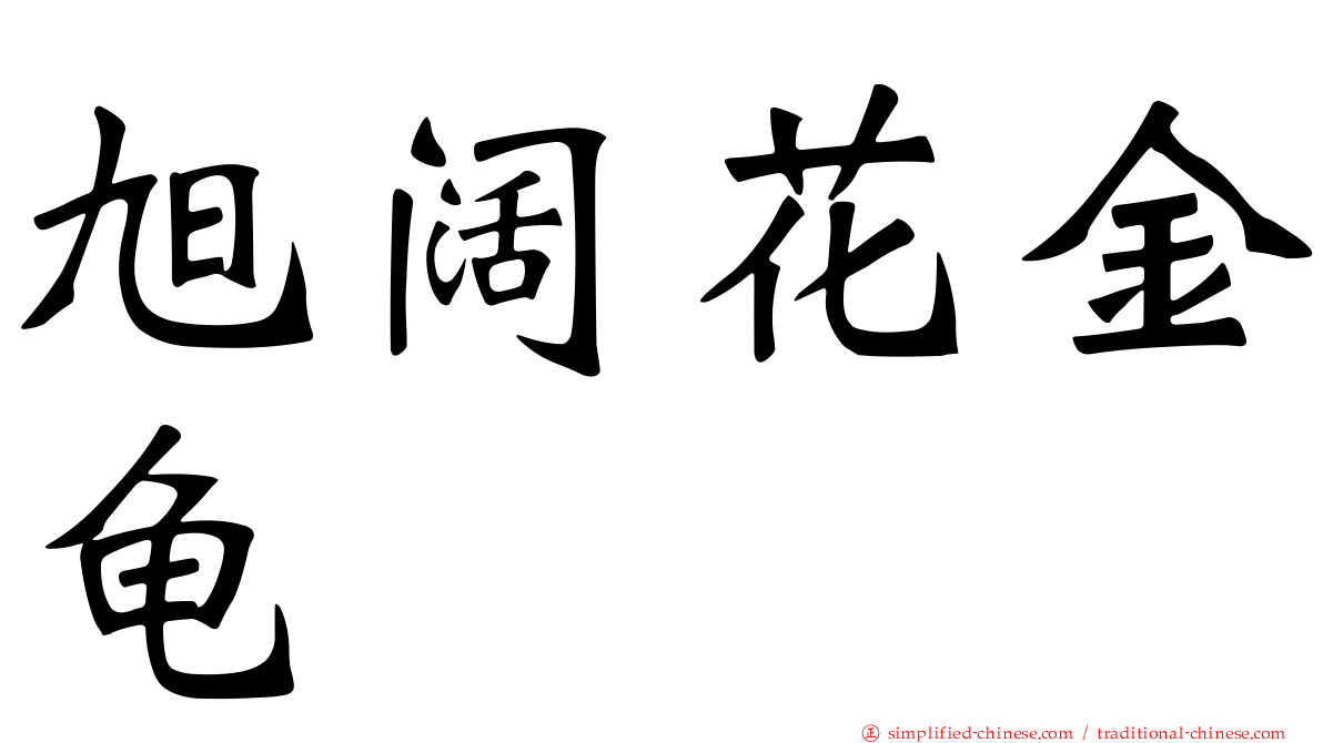 旭阔花金龟