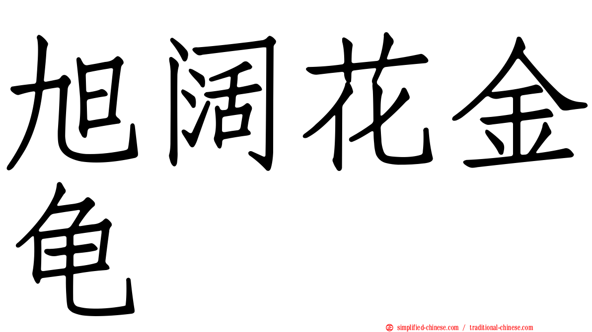 旭阔花金龟