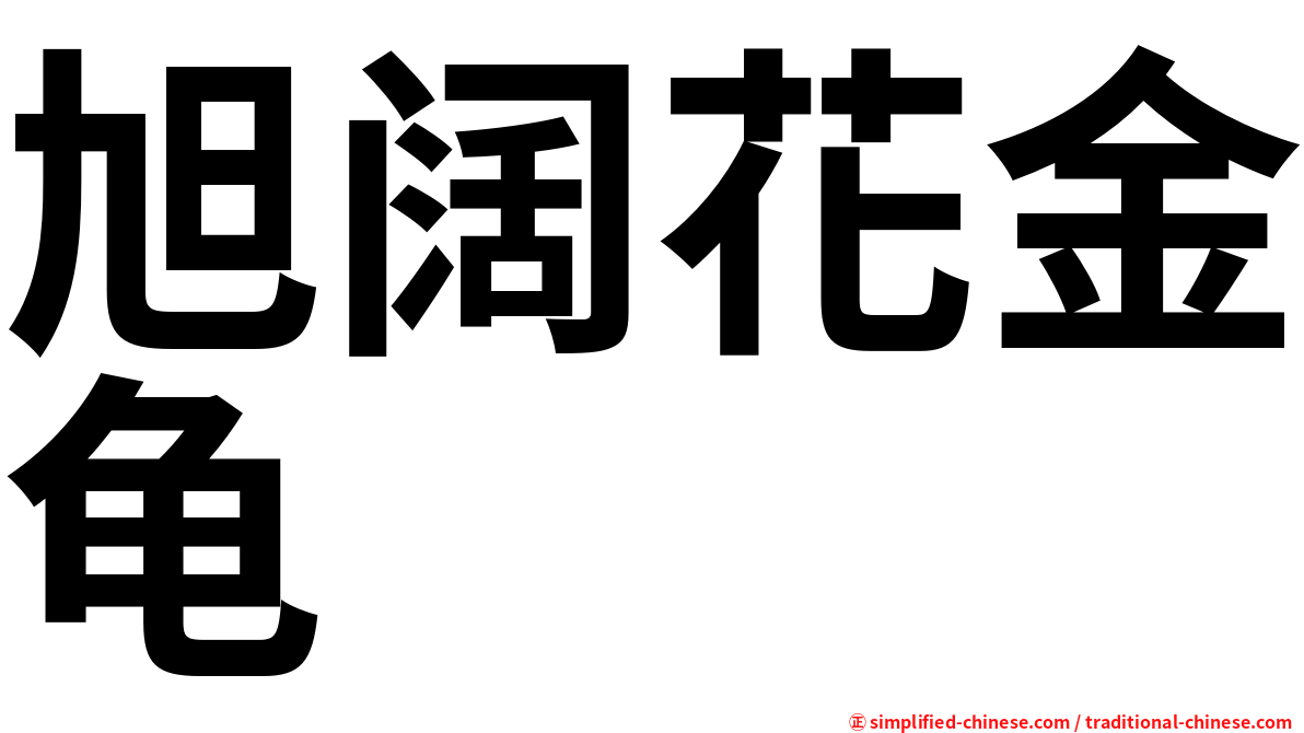 旭阔花金龟
