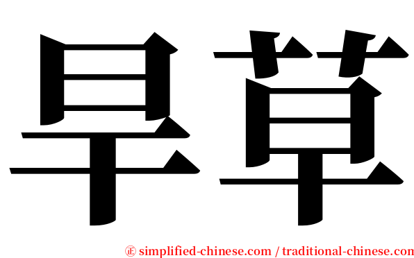 旱草 serif font
