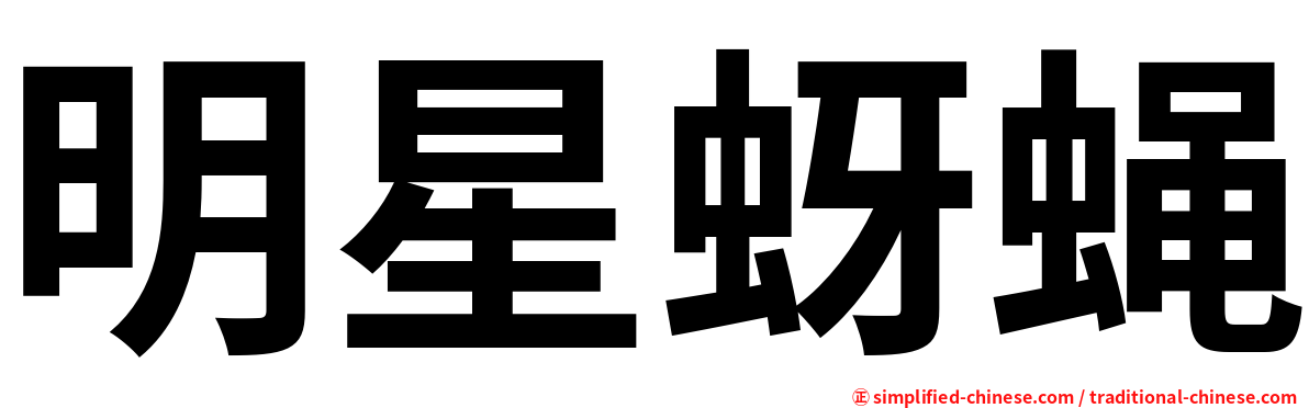 明星蚜蝇