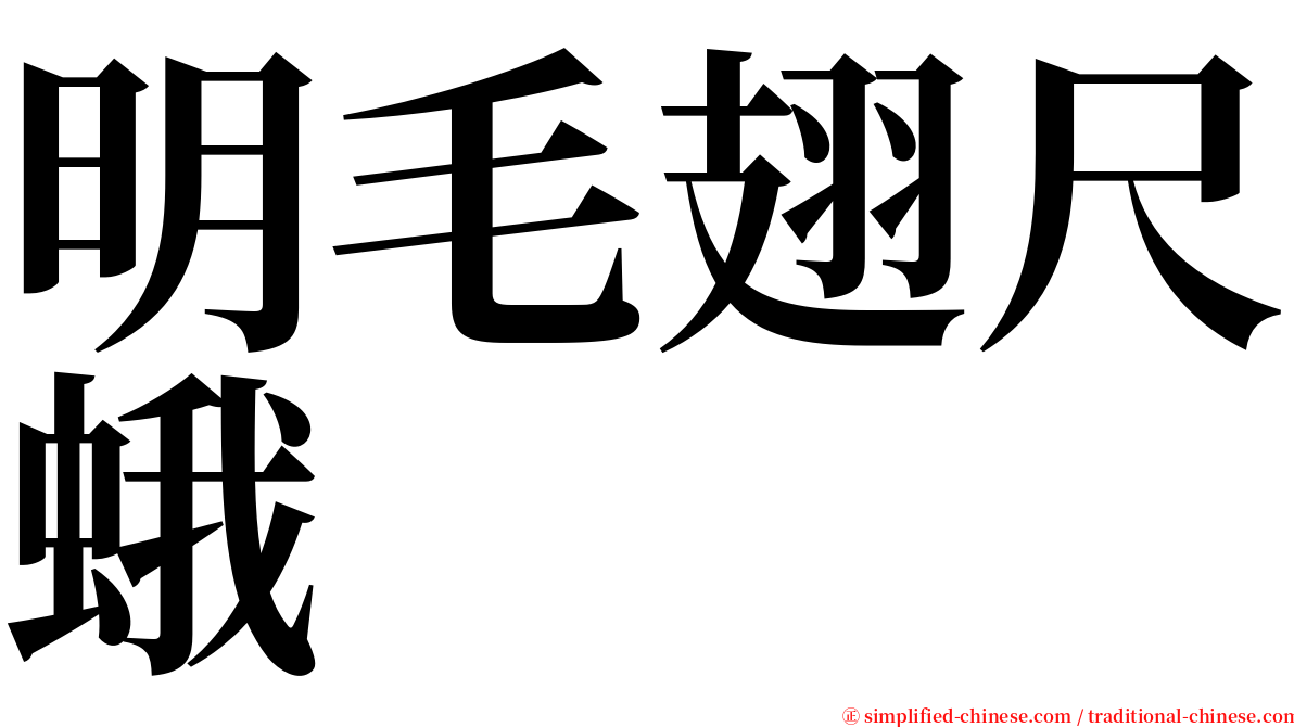 明毛翅尺蛾 serif font