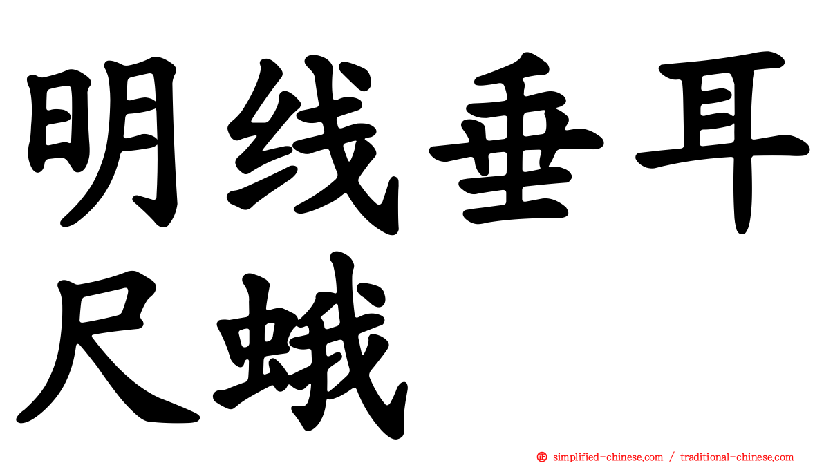 明线垂耳尺蛾
