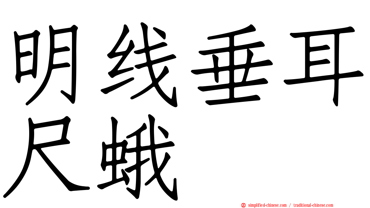 明线垂耳尺蛾