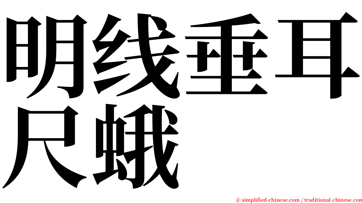 明线垂耳尺蛾 serif font