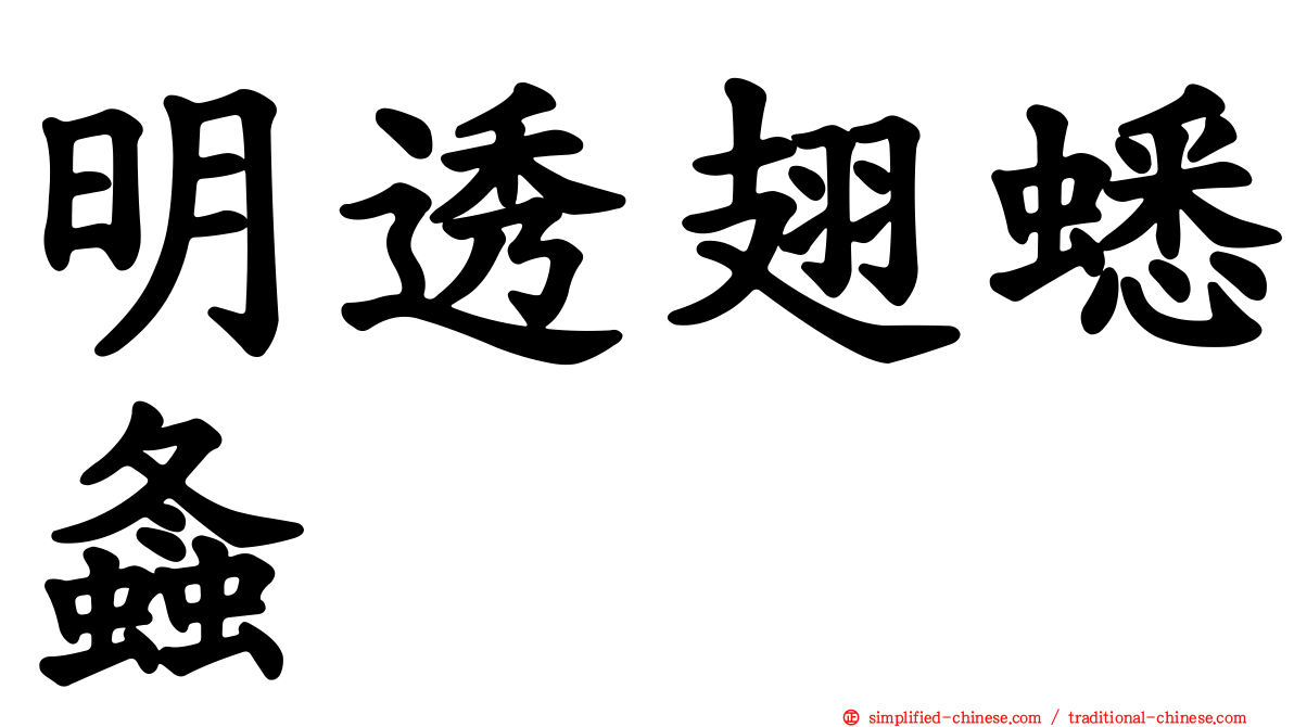 明透翅蟋螽