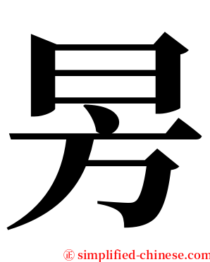 昘 serif font