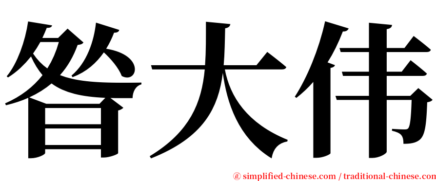 昝大伟 serif font